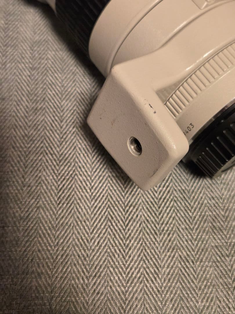 Canon EF 300mm f/4 単焦点レンズ