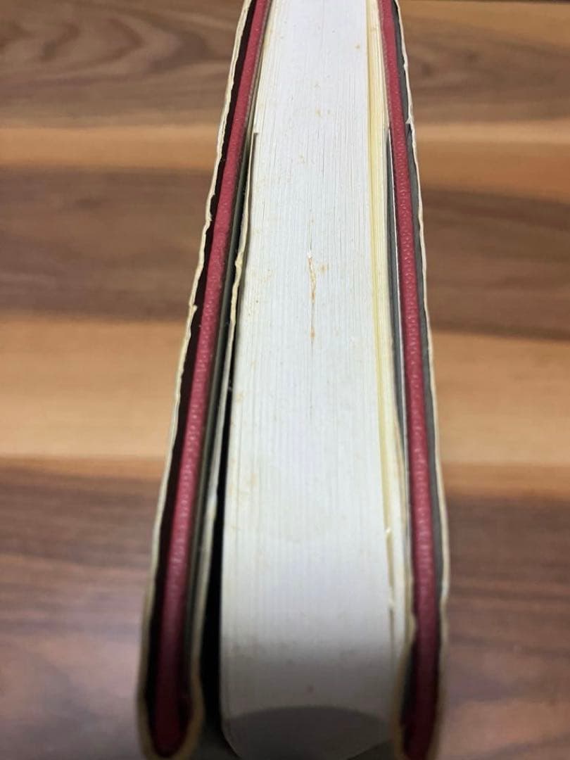 自己の分析 ハインツ・コフート