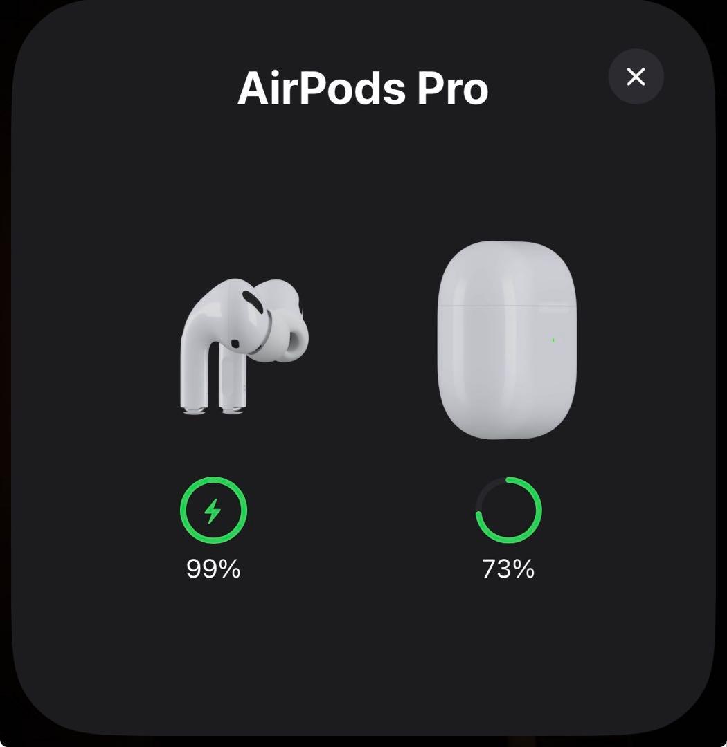 ⭐️ AirPods Pro（第1世代） 24時間以内発送‼️(箱無し) ⭐️