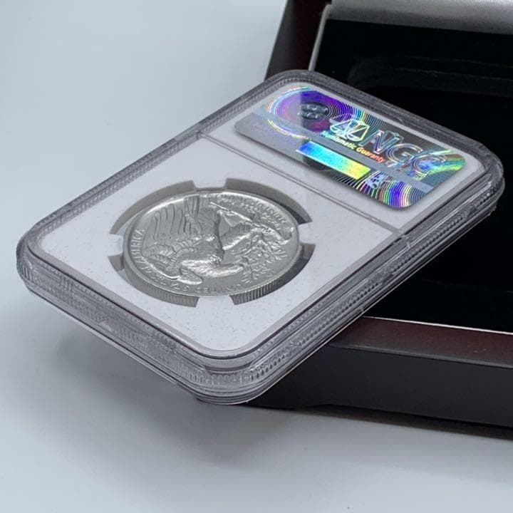 2017　パラジウム イーグル　モダン　NGC MS70ER　　E2