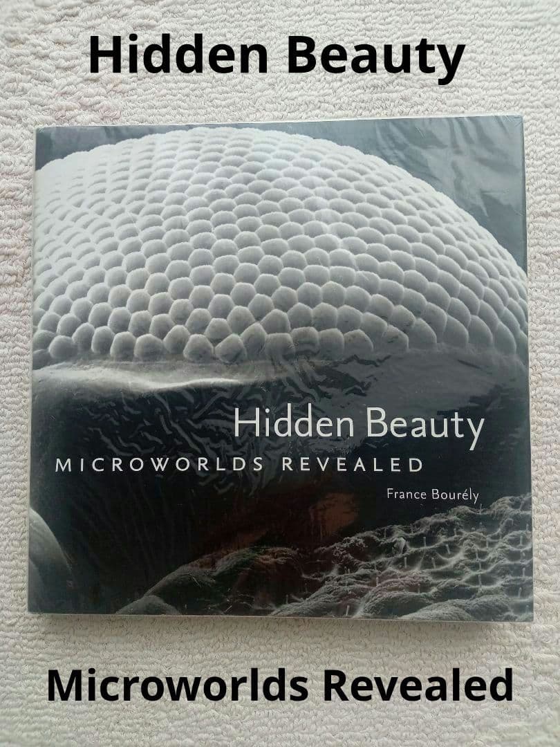 写真集 Hidden Beauty Microworlds Revealed