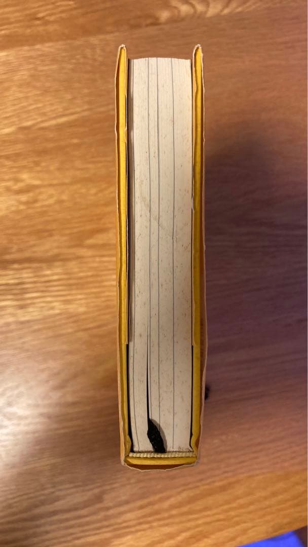 トランサーフィン 2 ヴァディム・ゼランド