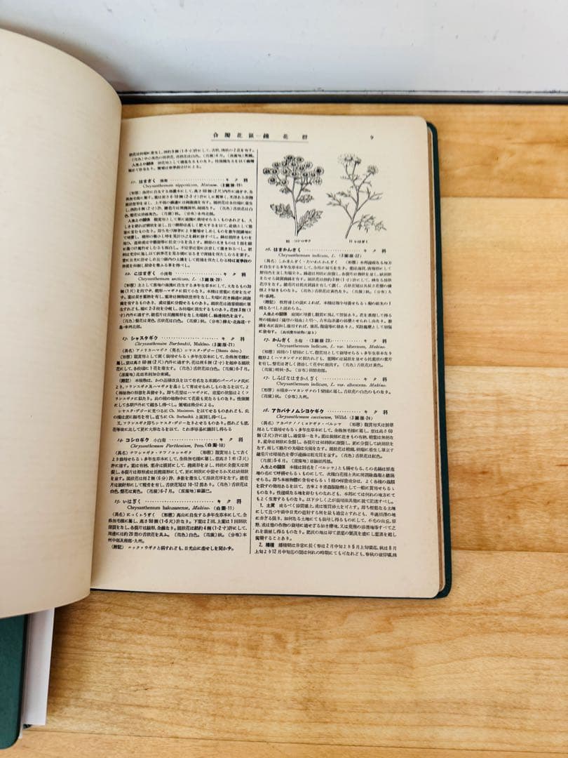 希少 レア 昭和レトロ 植物原色大圖鑑 全十三巻　置物 飾り物 インテリア