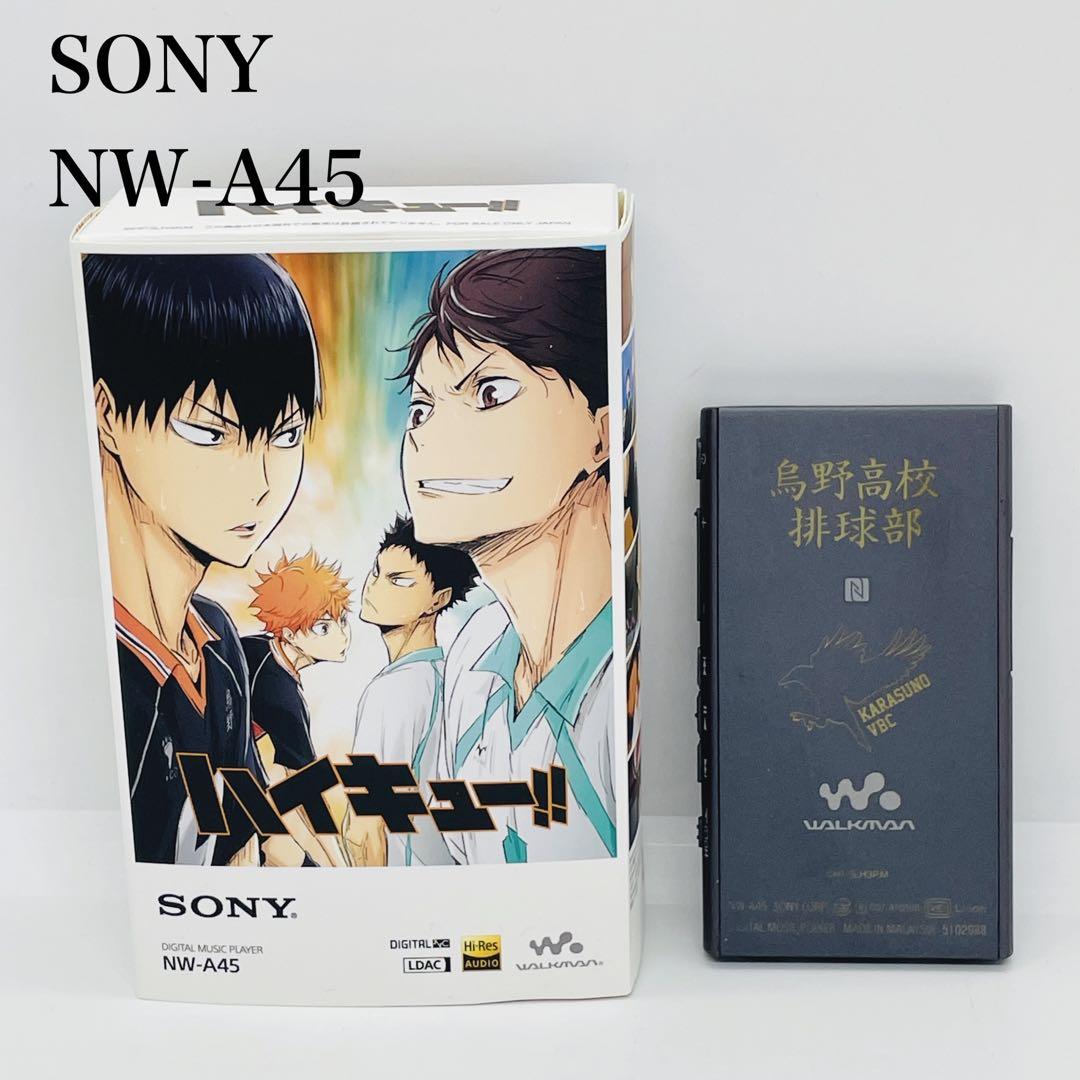 SONY WALKMAN NW-A45 「烏野高校モデル」