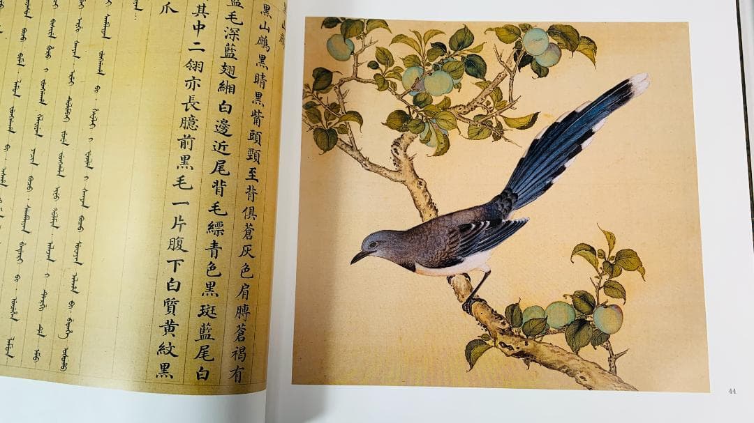 1997年初版「The Manual of Birds（故宮鳥譜）」