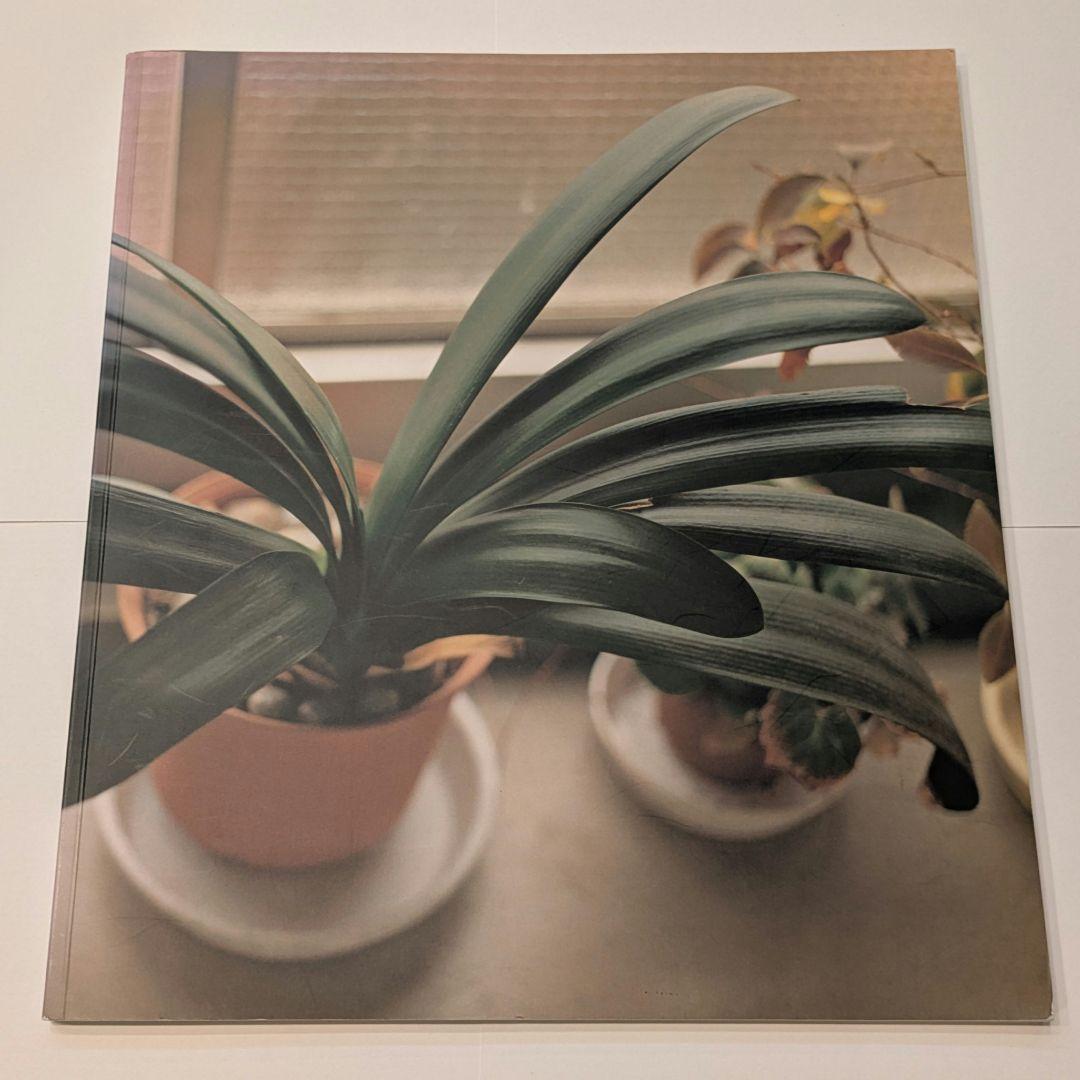 佐内正史　 生きている　 2001年　第二版