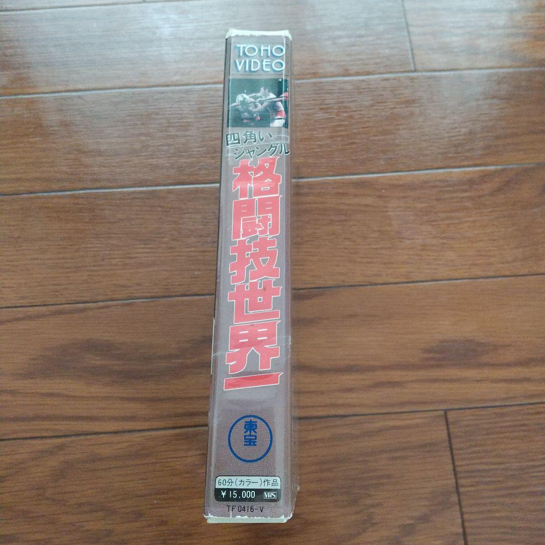 四角いジャングル格闘技世界一