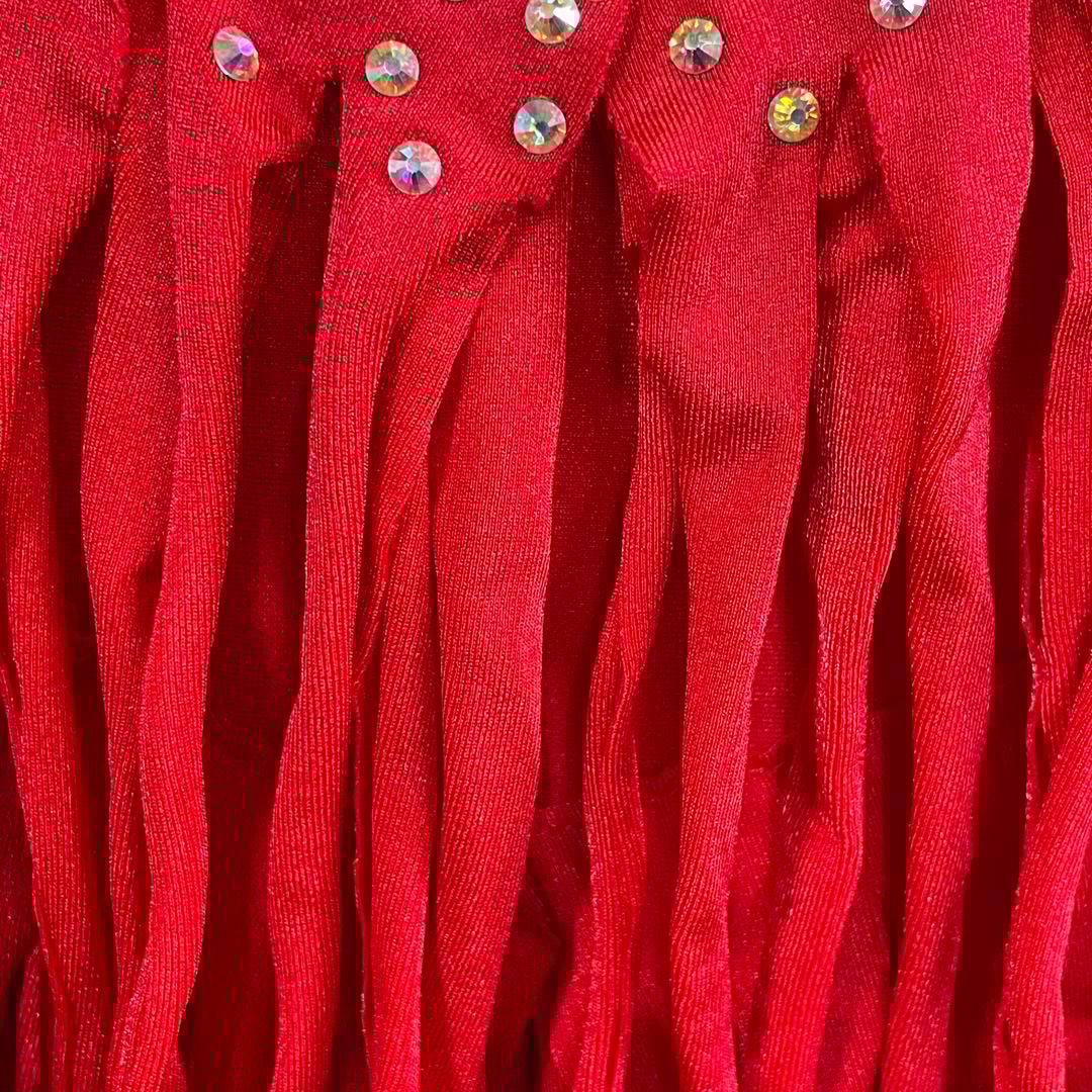 社交ダンス　ラテンダンス　ドレス衣装　赤　S1118