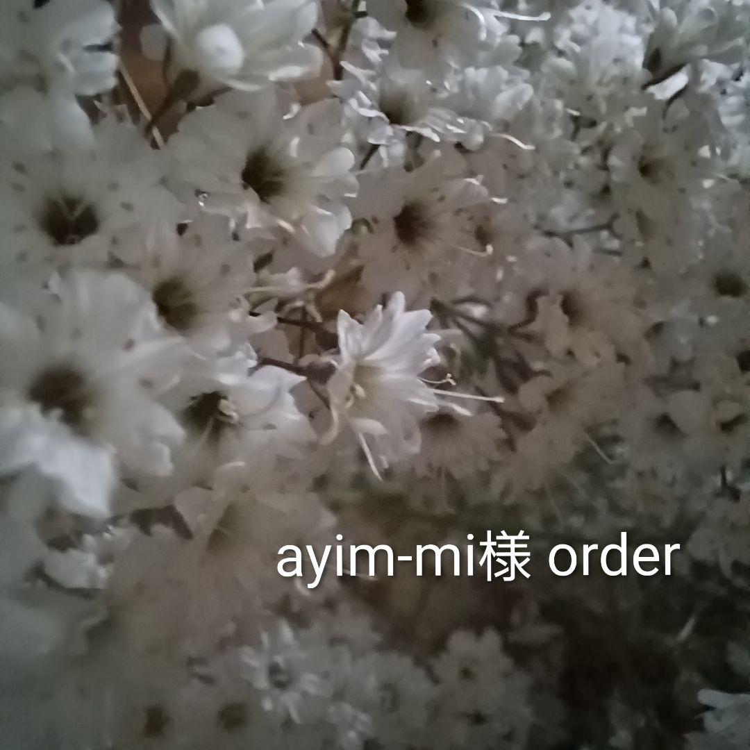 みやみち様 【order】 ドライフラワー クリスマスツリー オーナメント他