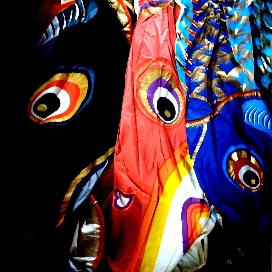 鯉のぼり デザイン 4色【５メートル】✖2セット