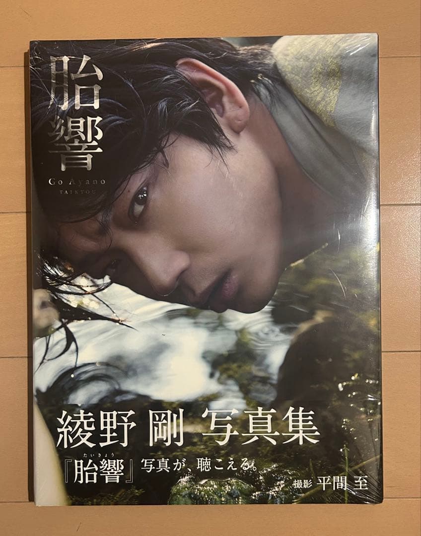 【新品未開封】胎響 綾野剛写真集