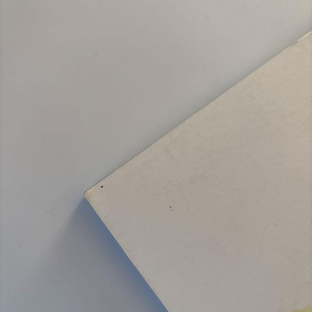 洋書 BABYBABYBABY Issue6 Valerie Phillips