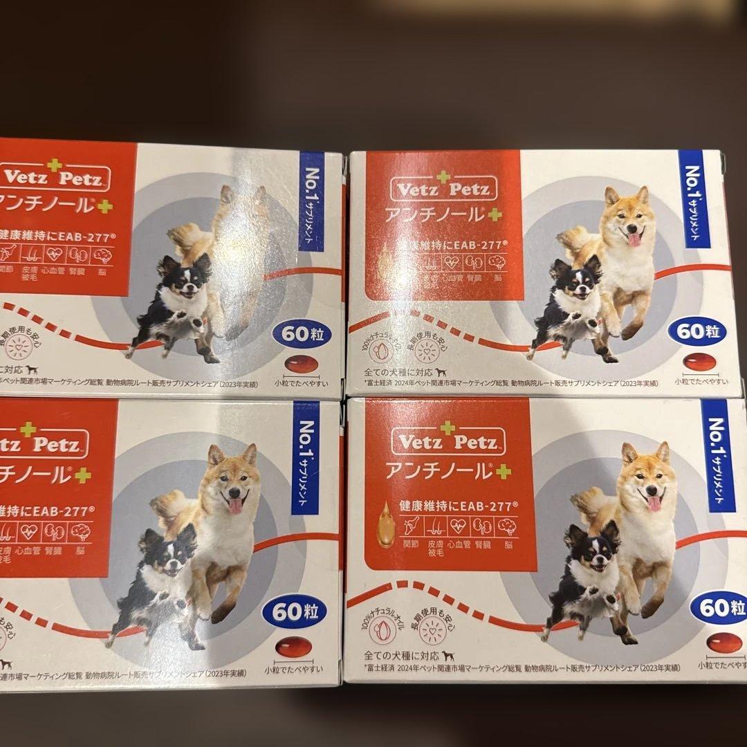 アンチノールプラス60粒4箱