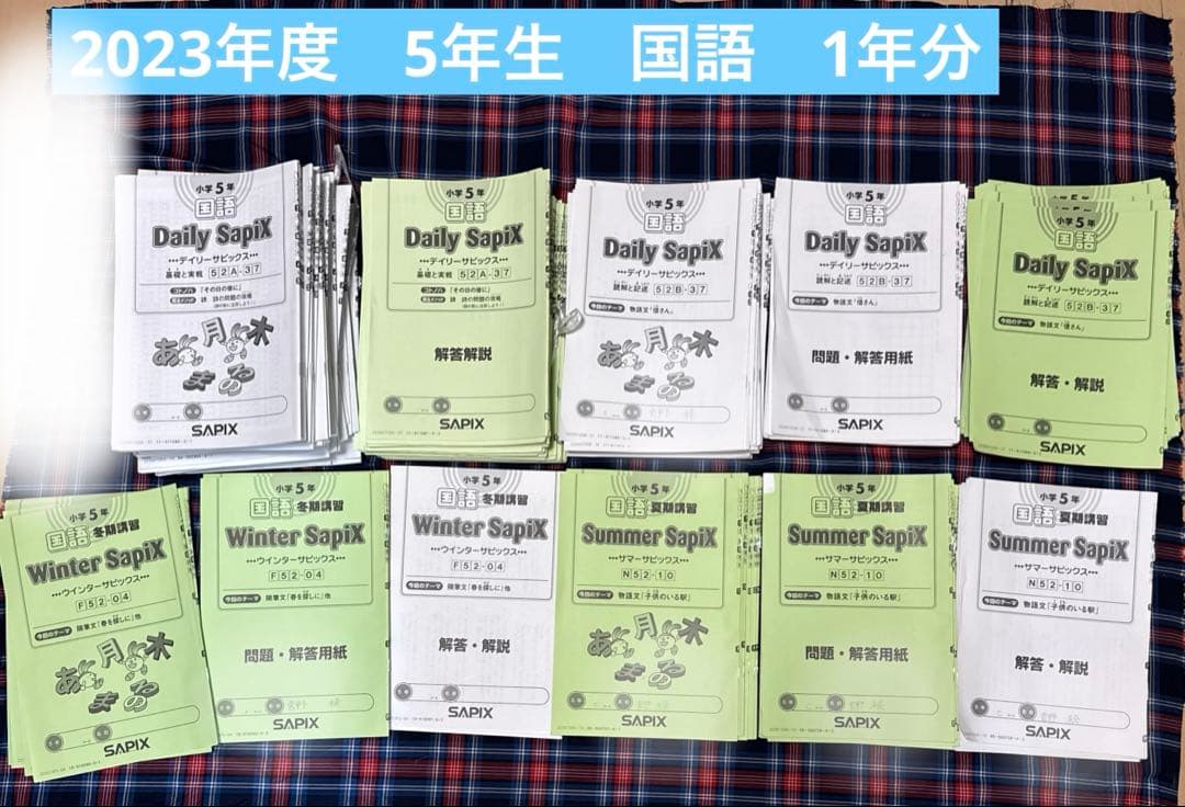 【SAPIX】サピックス 6年 国語テキストセット 小5