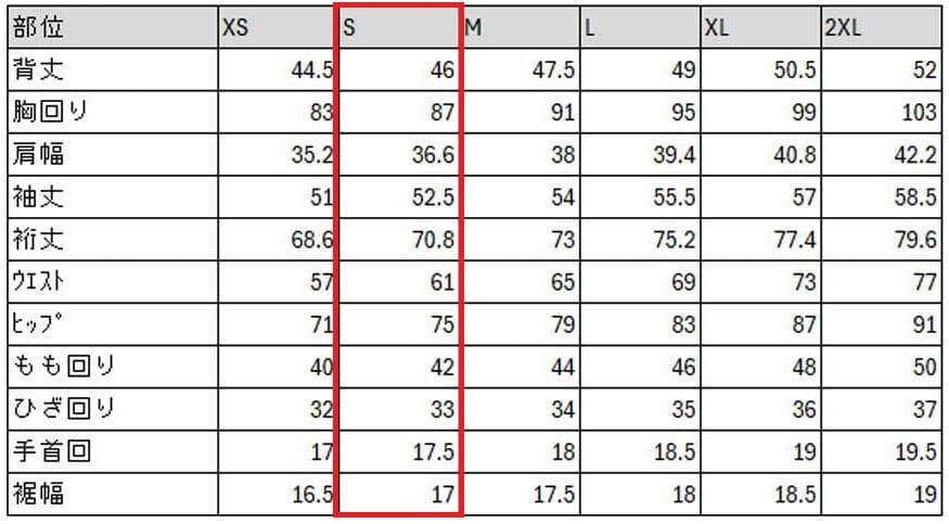 2/2出品終了予定 ミズノ GS アルペンスキー ワンピース FIS有