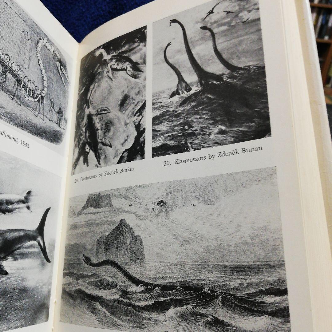 洋書 In the Wake of Sea-Serpents/Heuvelmans