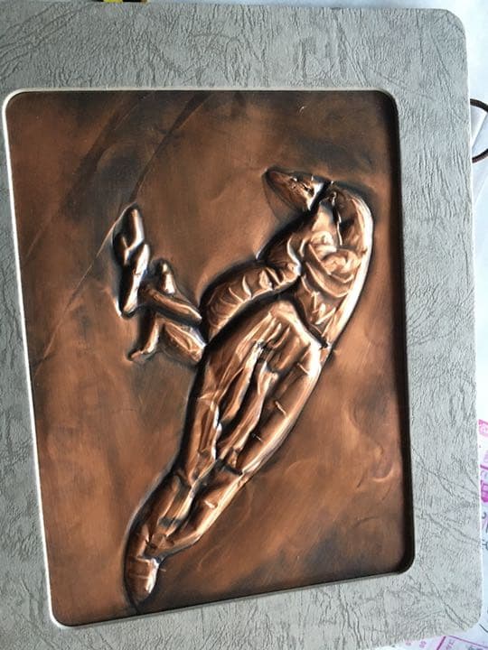 カラス　レフ板