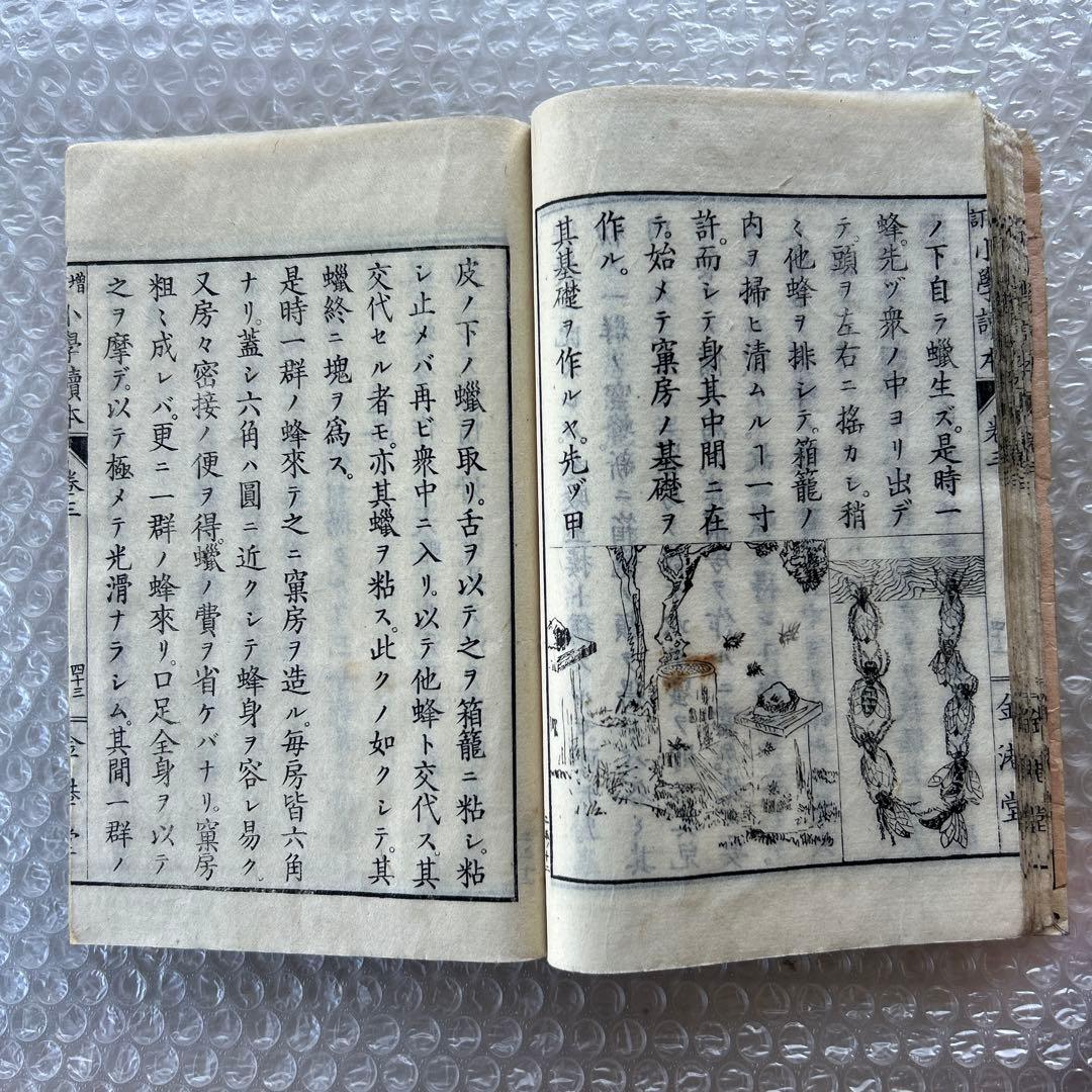 明治20年 教科書 増訂小学読本 高等科用 巻三 和綴じ本