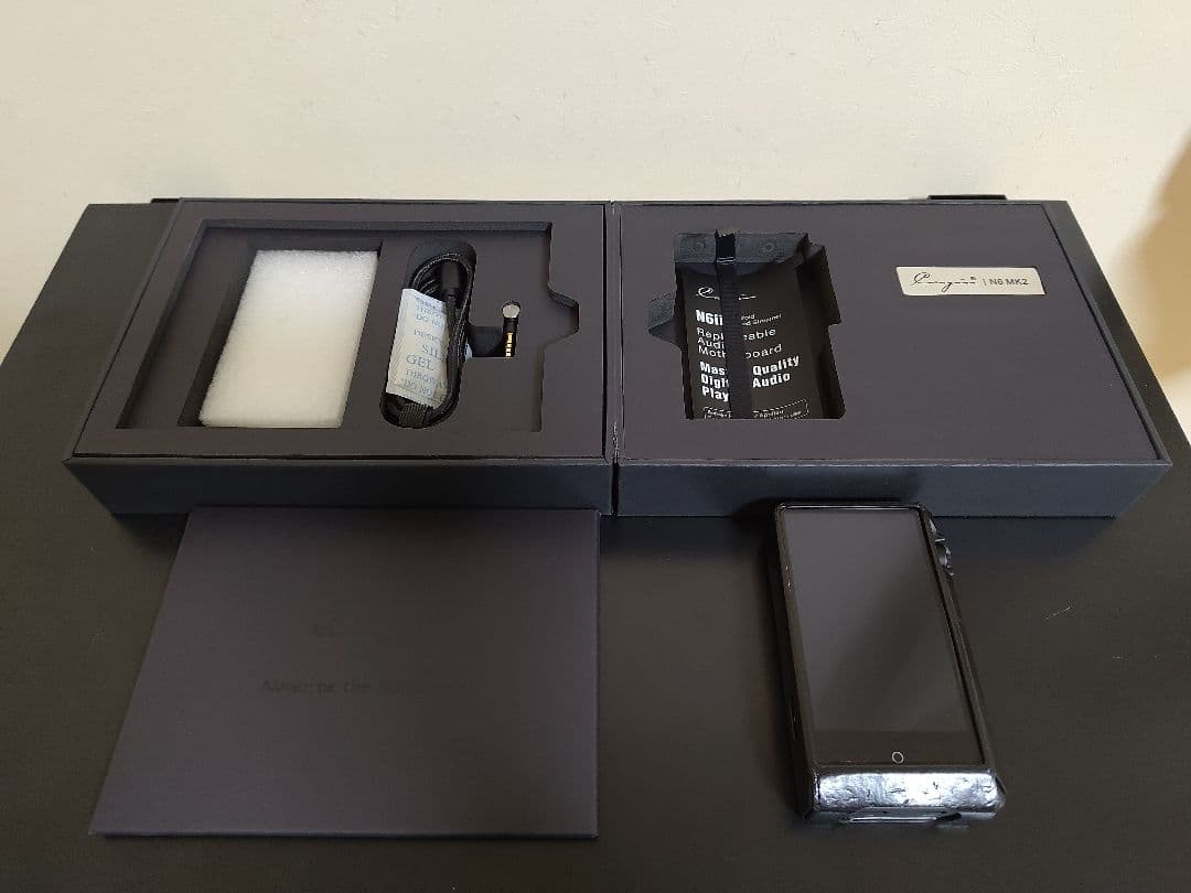 Cayin N6ⅱ T01 +E02オーディオボード