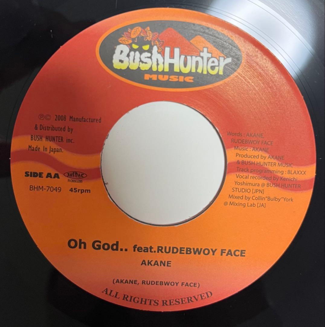 新/旧 ジャパレゲ レコード 10枚(17曲) セット レゲエ レコード