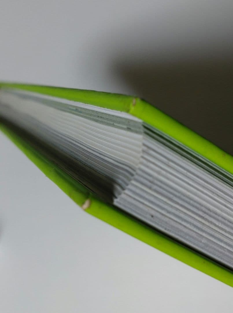 洋書 L'INVASION DE PARIS 2.0 INVADER