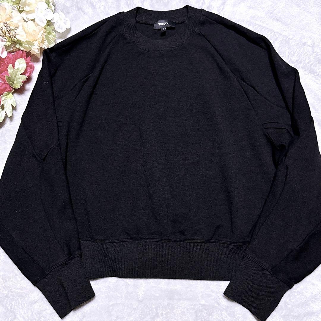 【未使用】セオリー DOUBLE KNIT LT N/LS SEAM SWEAT