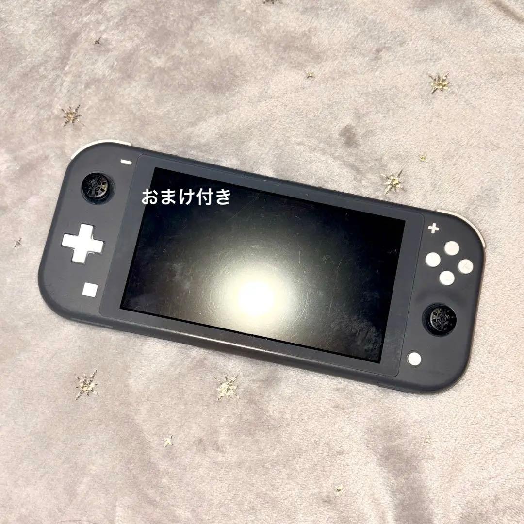 Switch ライト 本体 （ジャンク品）