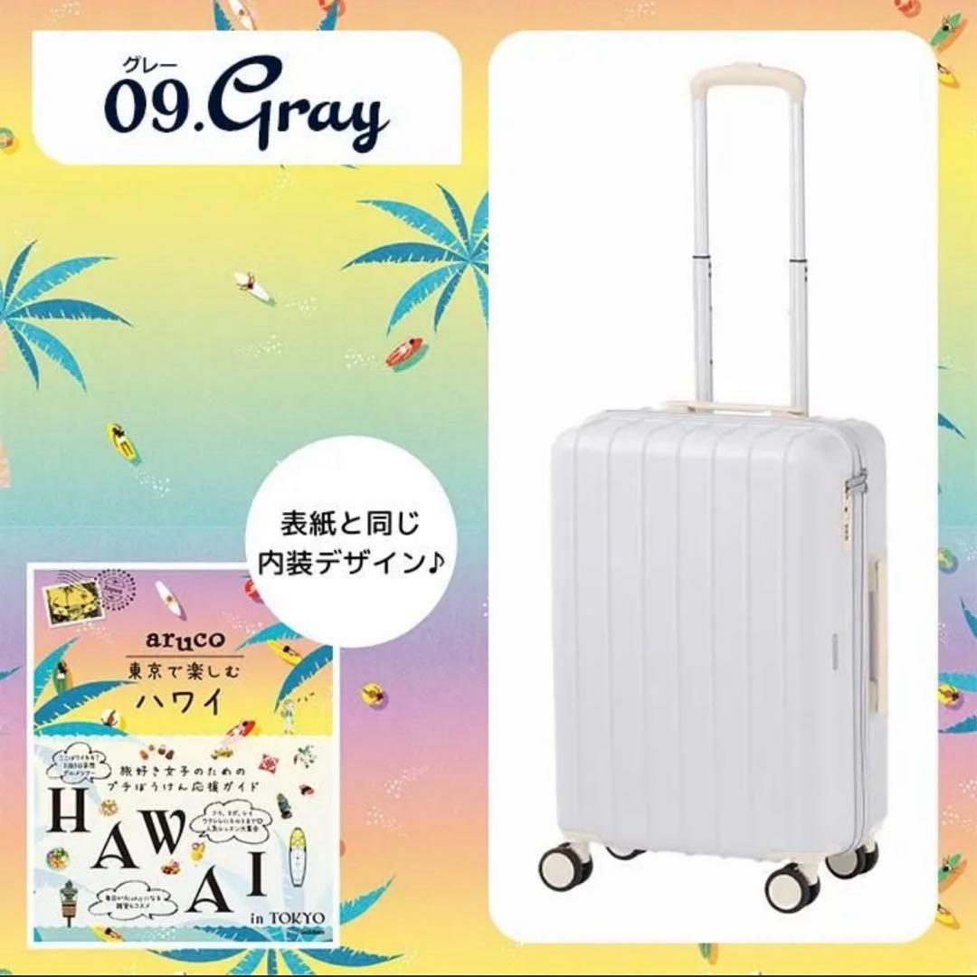 t*k様 【最終値下】World Traveler スーツケース40L 2〜3泊