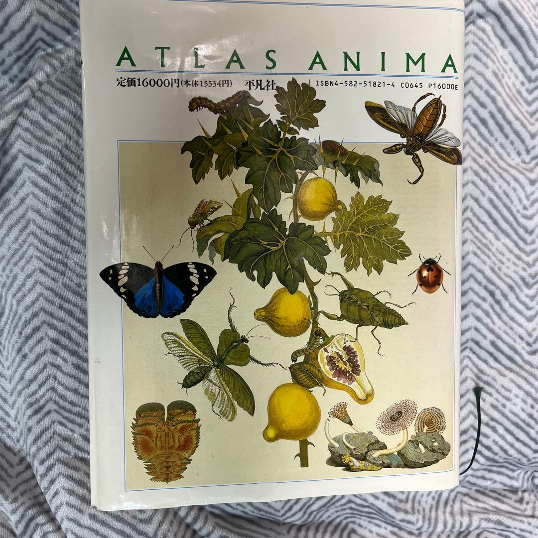 ATLAS ANIMA & 世界大博物図鑑 1 [昆類]