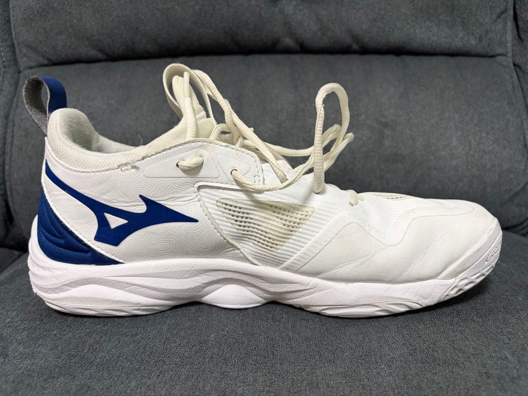 Mizuno バレーボールシューズ ウエーブモーメンタム3 28.5cm