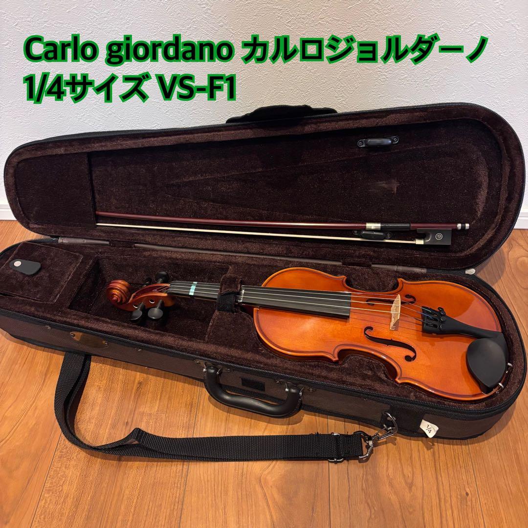カルロジョルダーノ バイオリン 1/4サイズ VS-F1 子供用