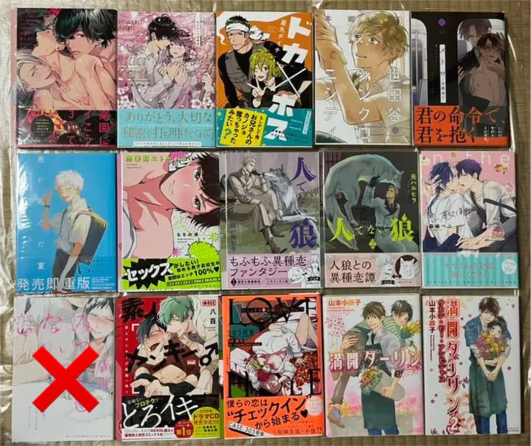 14 BL本まとめ売り　ボーイズラブコミックス　BOYS LOVE COMICS