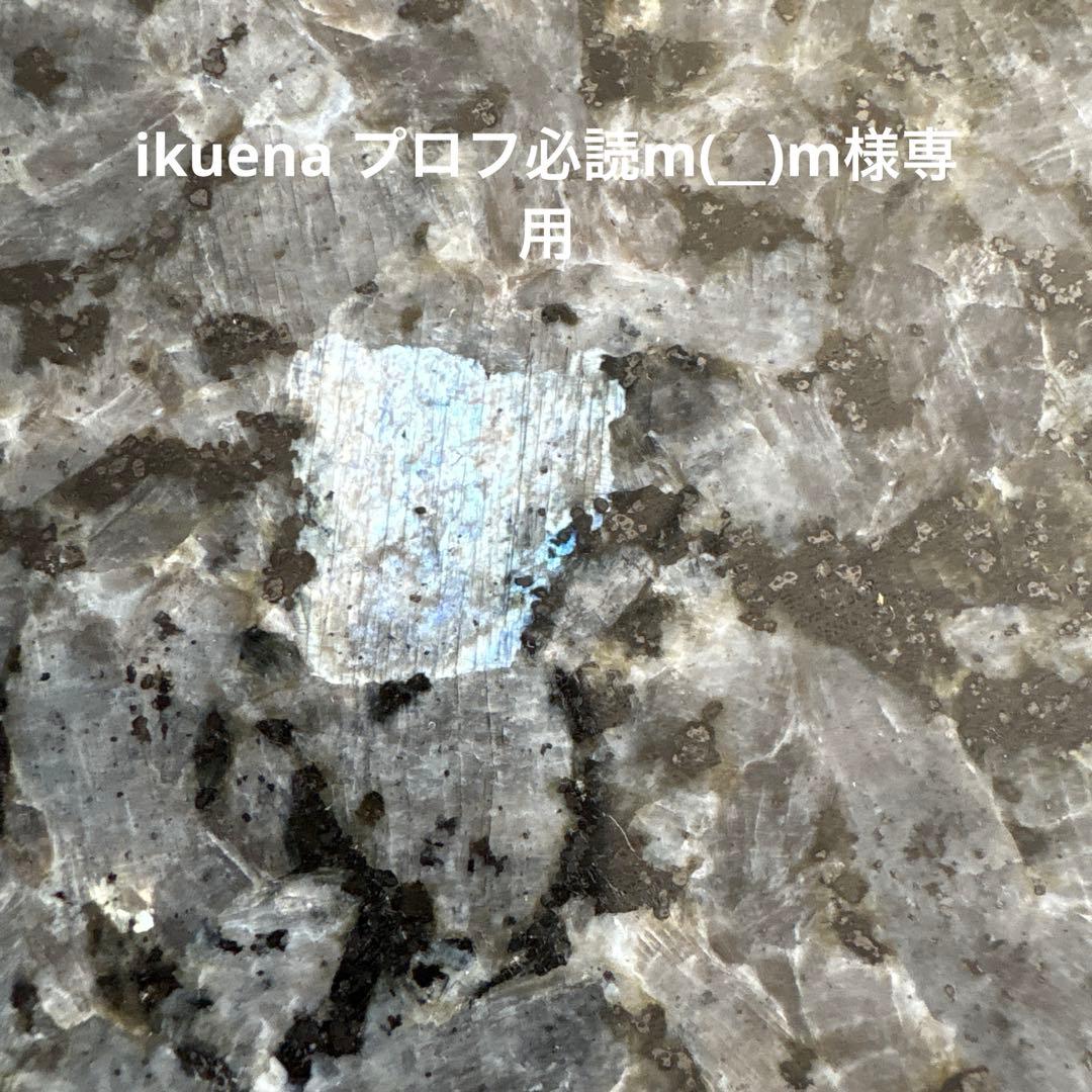 ikuena プロフ必読m(__)m様