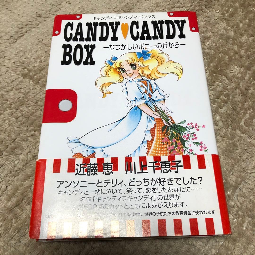 キャンディ キャンディボックス なつかしいポニーの丘から　希少