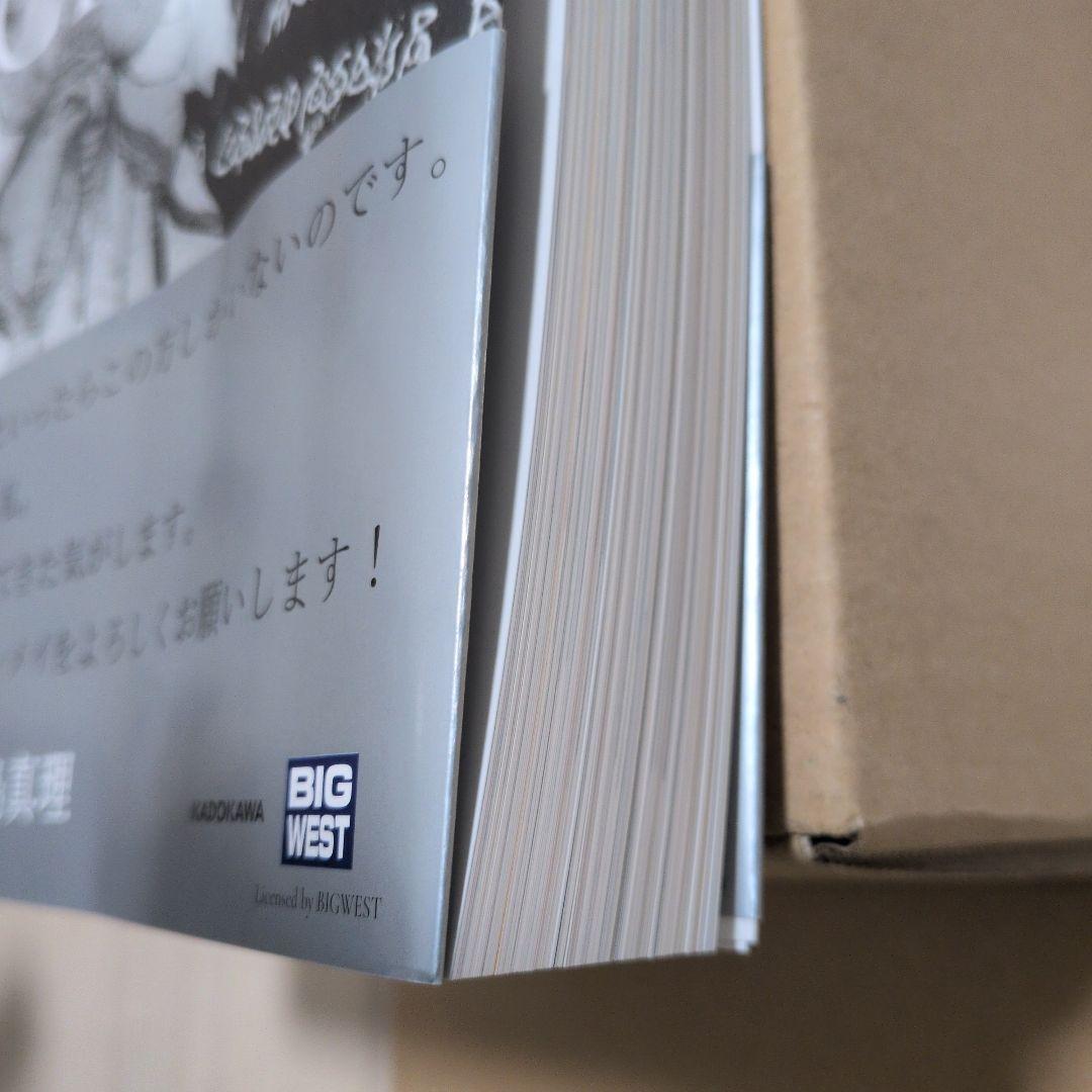 MACROSS ビジュアルブック　御木本晴彦