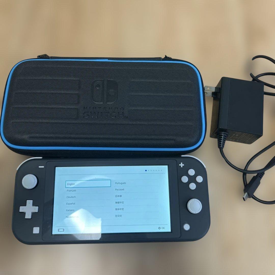 【中古】Switch Lite グレー＆ハードカバー＆アダプター【ジャンク】