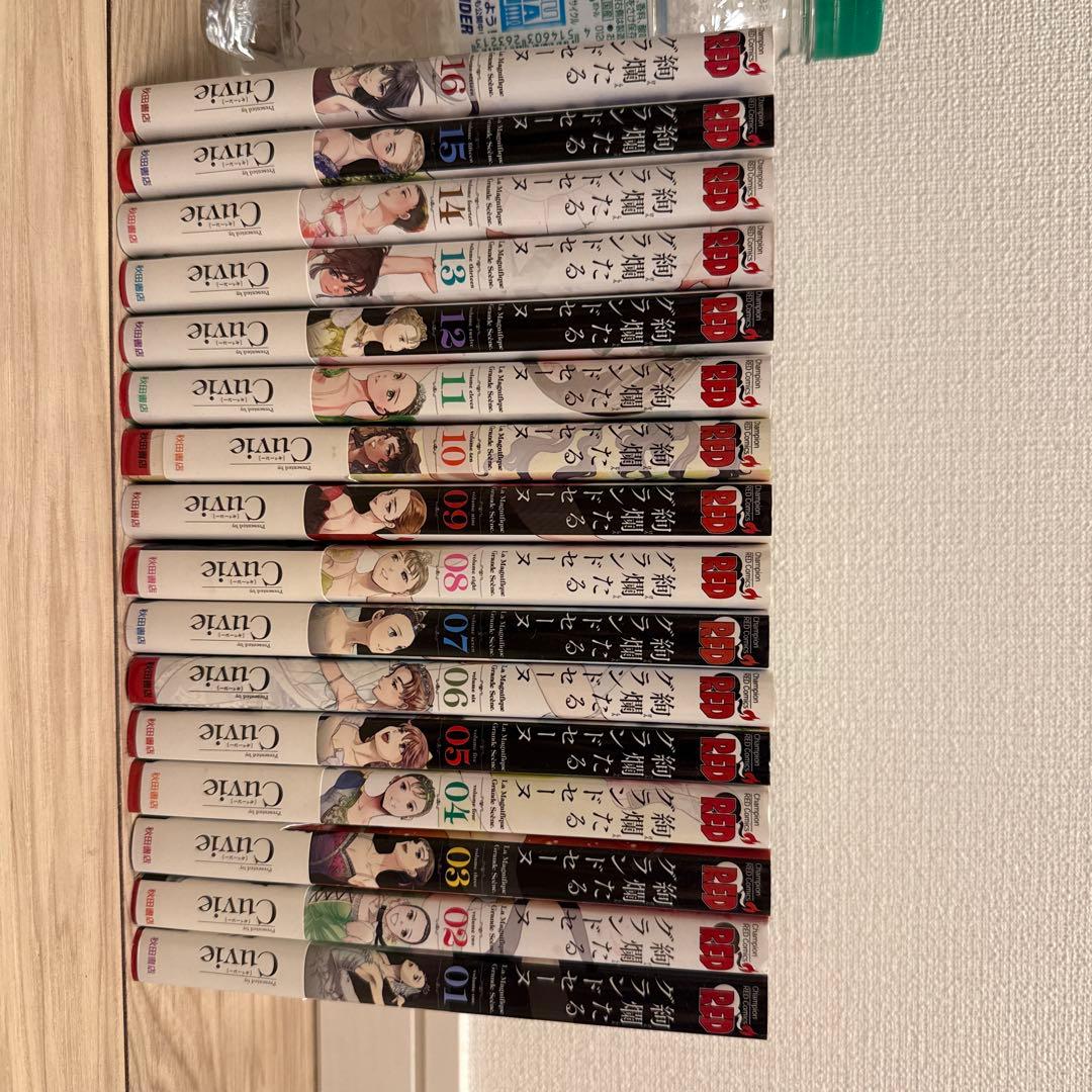 絢爛たるグランドセーヌ 1〜16