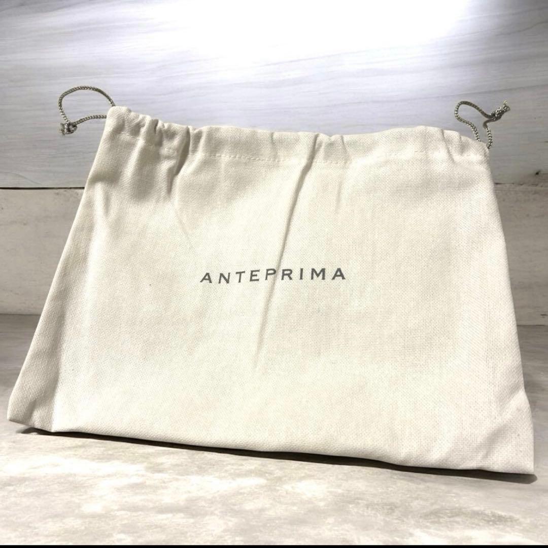 【極美品】保存袋・カード アンテプリマミニアトゥーラ チェーン 2WAYバッグ