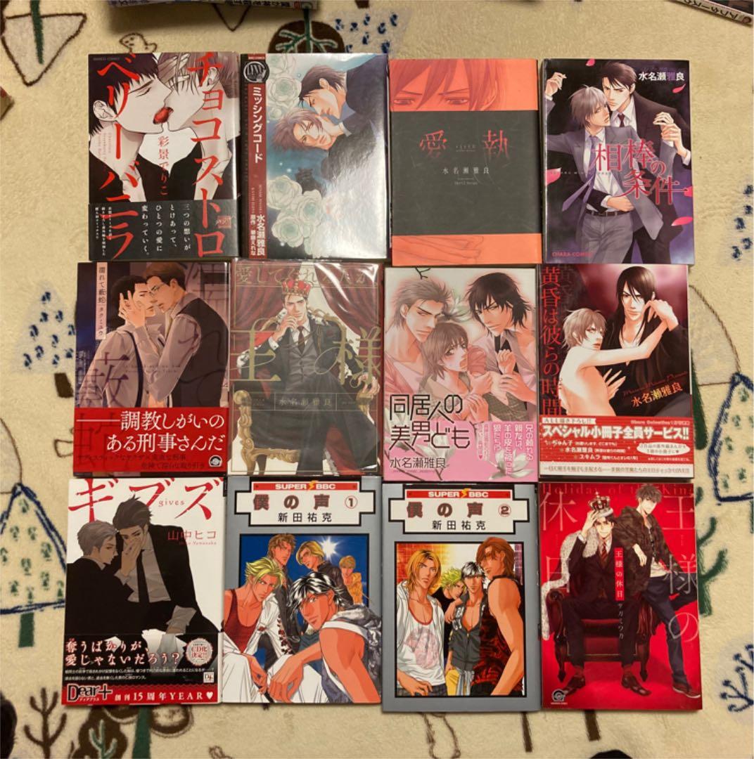BL漫画 24冊 まとめ売り 水名瀬雅良 タクミユウ 彩景でりこ 《即決不可》