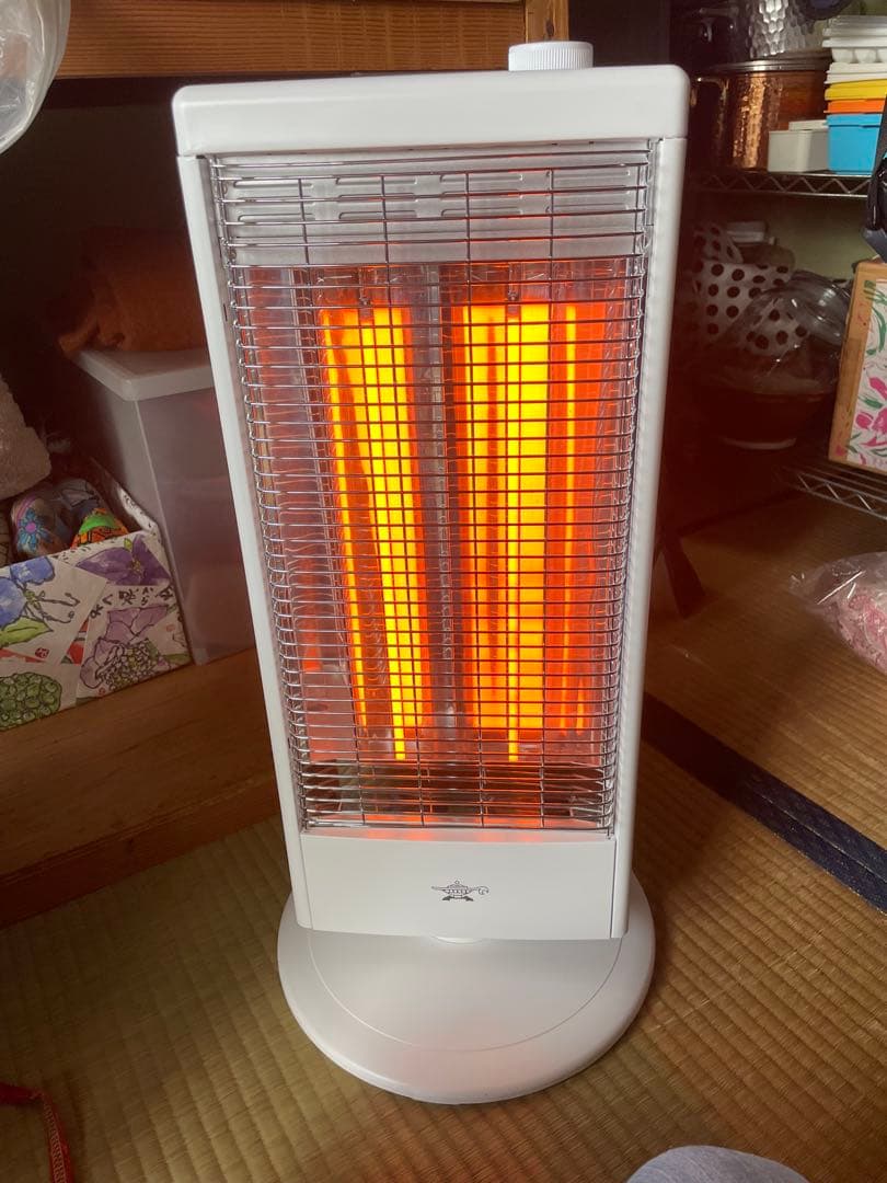 AEH-G100 アラジン遠赤グラファイトヒーター　2024年製　aladdin