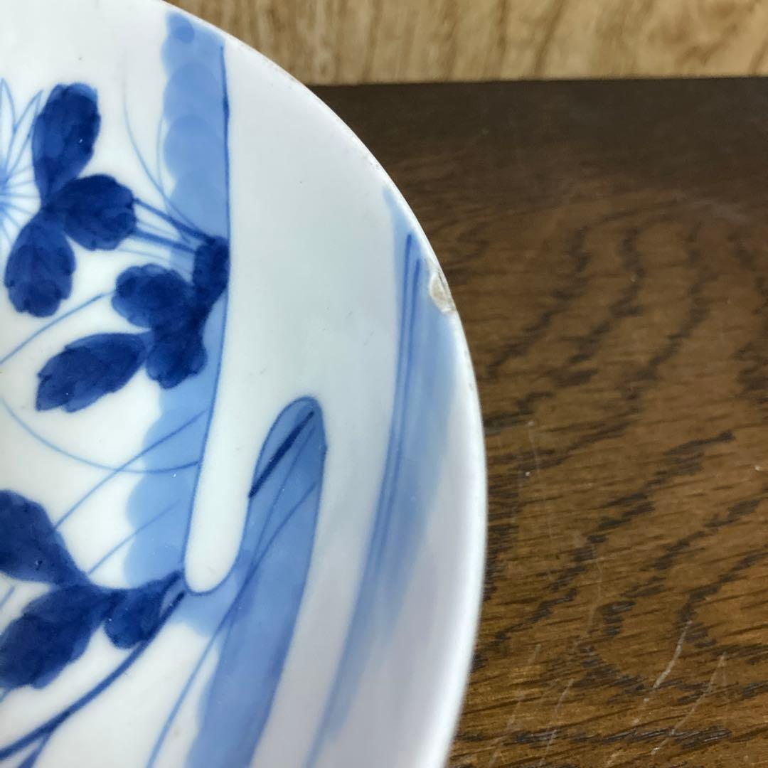 鍋島焼　古鍋島　染付　五寸皿　菊花七宝文　五客揃