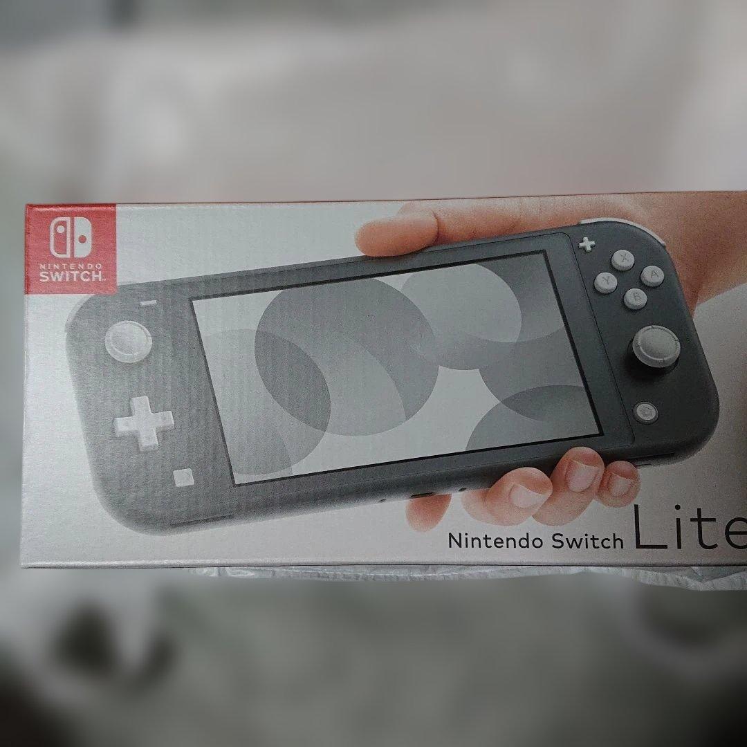 NintendoSwitchLiht　グレー