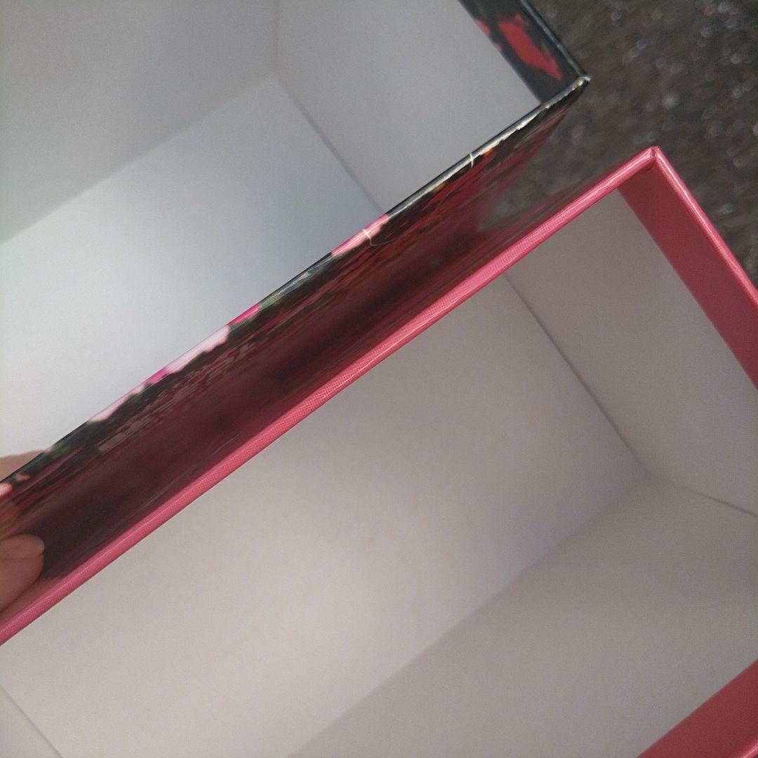 １月出品終了　プリンプリン物語　テルーデル編＆アクタ共和国総集編　DVDボックス