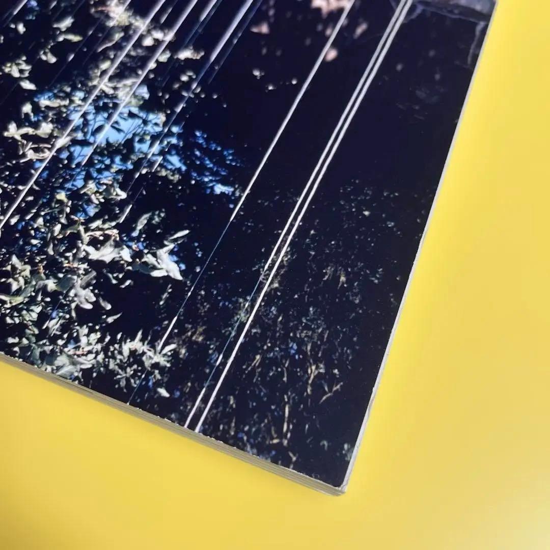 写真集「Synthetic Voices」マーク・ボスウィック 1998年