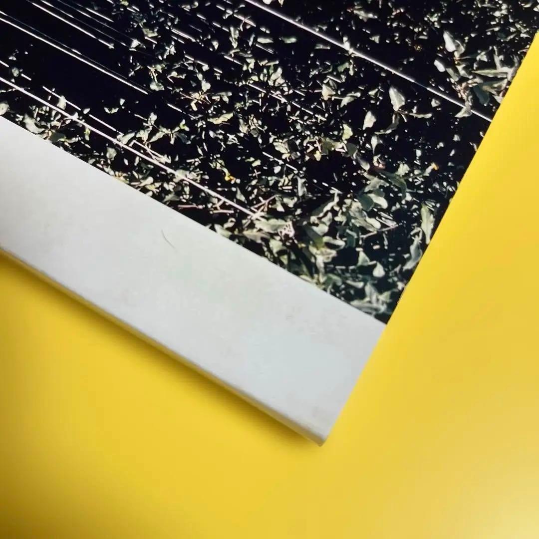 写真集「Synthetic Voices」マーク・ボスウィック 1998年