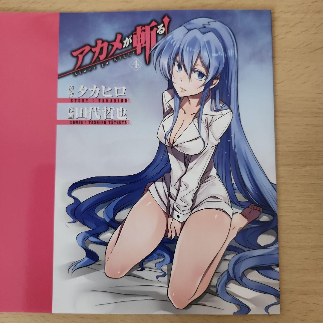 アカメが斬る! 着せ替えカバー エスデス