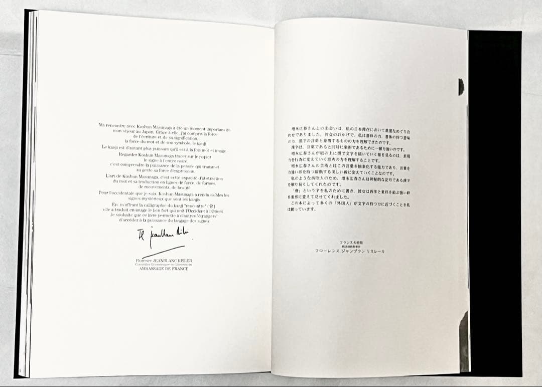 【エディションナンバー入り】長野オリ書道家 増永広春氏作品集 走墨 1999年