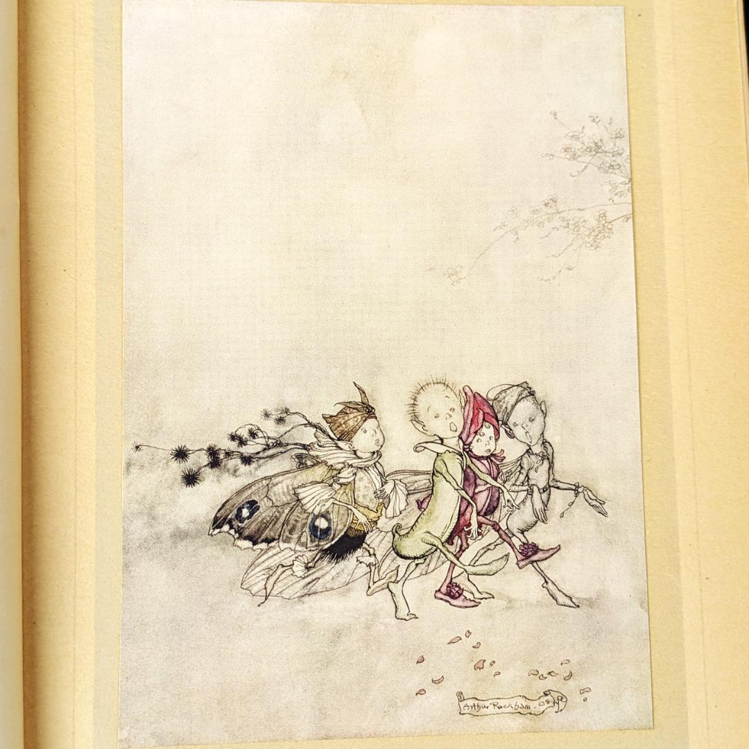 希少な初版 アーサー・ラッカム挿画『真夏の夜の夢』1908年 イラスト40枚総揃