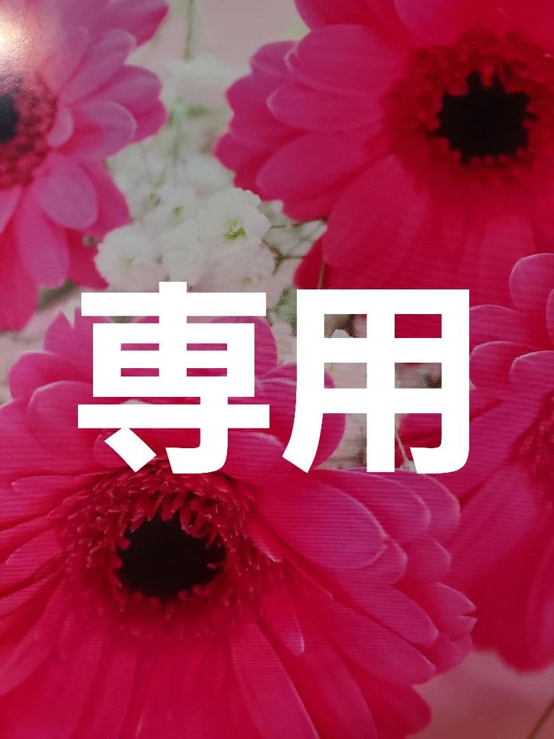 June 2点おまとめ 他の方は購入をお控え下さい