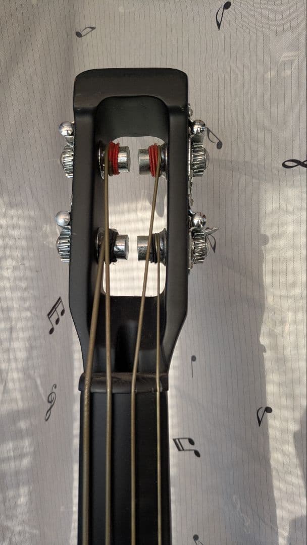 【即購入可】ハルシュタット　エレクトリックウッドベース